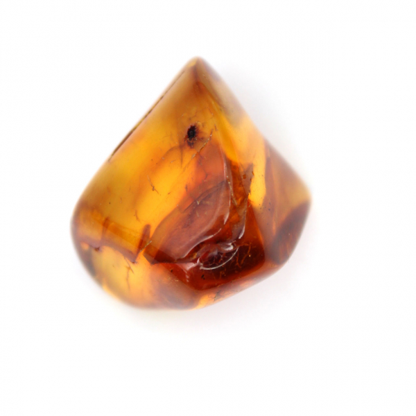 Pequeno exemplar de seixo de âmbar polido - Autêntico da Lituânia