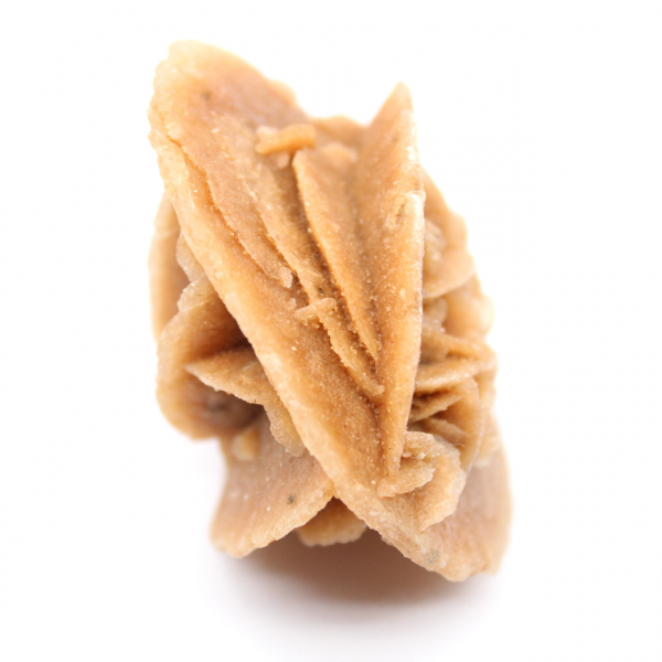 Rosa do deserto marroquino: um objeto decorativo em estado bruto