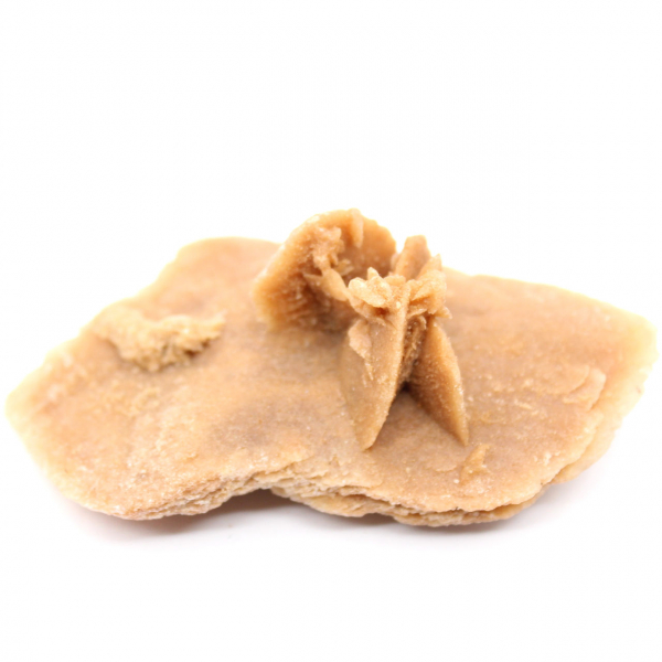 Exemplar de uma rosa do deserto marroquina: geometria do deserto