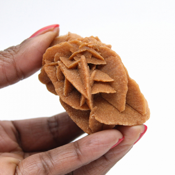 Formação Rosa do Deserto Marroquino: Gesso de Colecionador