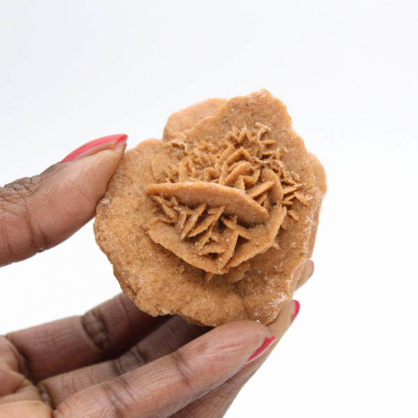 Rosa do deserto marroquino: um buquê cristalino de gesso.