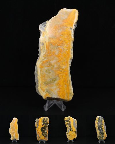 Jaspe abelha Indonésia collection abril 2026