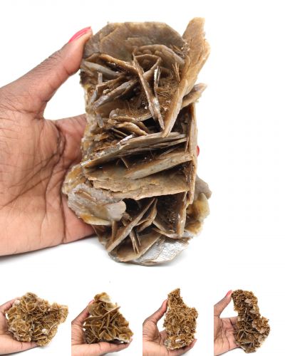 Barita marrom Marrocos collection novembro 2025