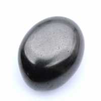 Seixo shungita