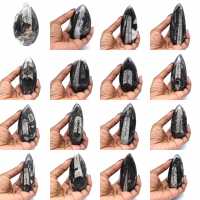 Fóssil de Orthoceras de Marrocos Fóssil de Orthoceras de Marrocos