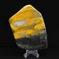 Coleção Bumblebee Polished Indonesia