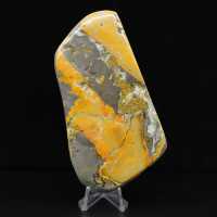 Espécime de abelha-de-jaspe em rocha vulcânica