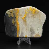 Decoração de autenticidade de espécime de abelha-mestra de jaspe