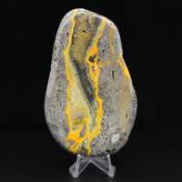 Espécime de Jaspe Abelha Polido - Coleção Científica