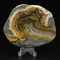 Ornamento de abelha em jaspe polido, Indonésia, raro.