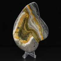 Ciência Mineral da Rocha Jaspe Abelha Polida