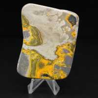 Ornamento pequeno de jaspe abelha polido