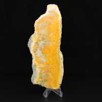 Fatia polida de jaspe abelha indonésio