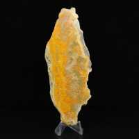 Jaspe Abelha Indonésio: uma peça de exibição