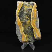 Fatia espessa de jaspe abelha polido