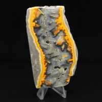 Fatia robusta de jaspe abelha indonésio