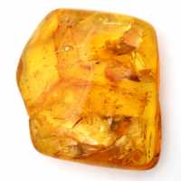 Pedra de Âmbar Amarelo do Báltico – Seixo para Coleção