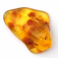 Seixo âmbar amarelo, objeto mineral Lituânia – espécime decorativo