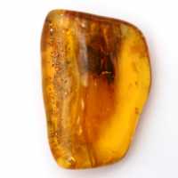 Âmbar do Báltico – Item de seixo mineralogia