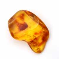 Pequena Pedra Âmbar Amarela – Fóssil Colecionável