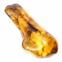 Espécime de seixo de âmbar polido - Decoração e Ciência Geológica