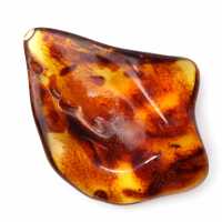 Âmbar lituano polido: seixo para coleção de fósseis