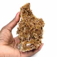 Moeda marroquina de barita com cristais marrons