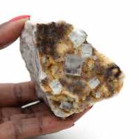 Fluorita verde de colecionador: pequeno exemplar em matriz. Fluorita verde de colecionador: pequeno exemplar em matriz.