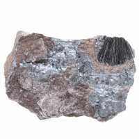 Pirolusita, espécime autêntico em matriz