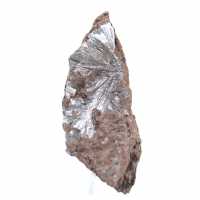 Cristais de pirolusita bruta, espécime longo