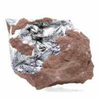 Pirolusita, espécime mineralógico com matriz