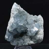 Drusa Celestina Grande de Madagascar