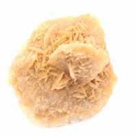 Rosa do deserto marroquino: roseta maciça de colecionador