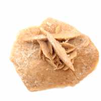 Roseta mineral de Marrocos: cristalização do gesso