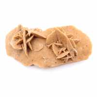 Rosa-do-deserto alongada de Marrocos: um espécime geológico