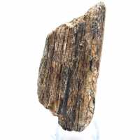 Turmalina Negra de Madagascar - Espécime para Estudo