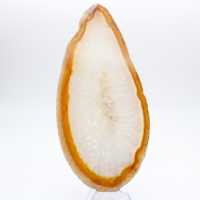 Espécime de ágata sedimentar polida