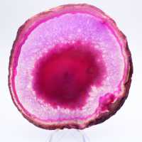 Fatia de ágata tingida de rosa para coleção