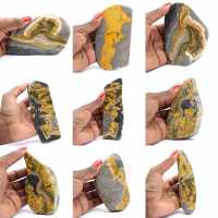 Jaspe Bumblebee Jaspe Bumblebee