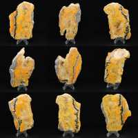 Jaspe Bumblebee Jaspe Bumblebee