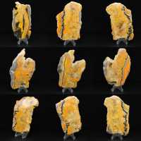 Jaspe Bumblebee Jaspe Bumblebee