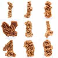 Rosa de areia mineral natural da Tunísia