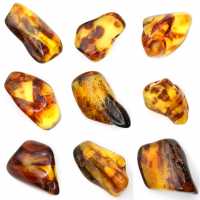 Pequeno seixo de âmbar polido da Lituânia - Coleção Mineralógica