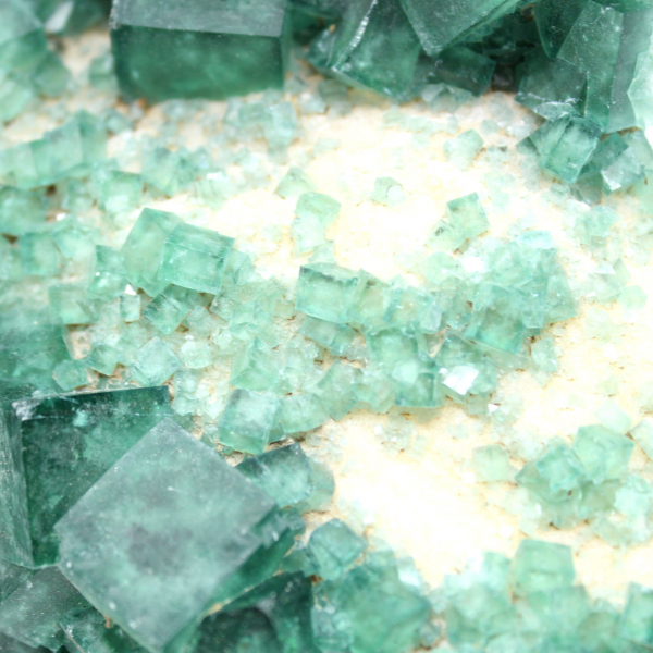 Quase 4 quilos de cubos de fluorita verdes cristalizados