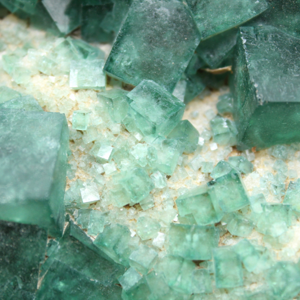 Quase 4 quilos de cubos de fluorita verdes cristalizados