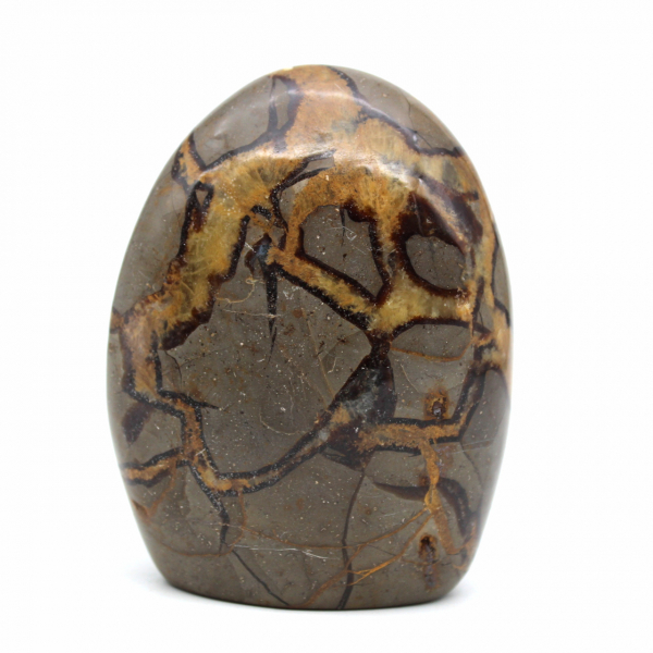 Pedra polida em septaria