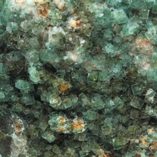 Fluorita cristalizada cúbica
