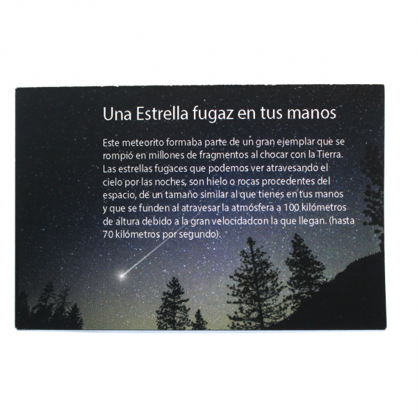 Fragmento Campo del Cielo