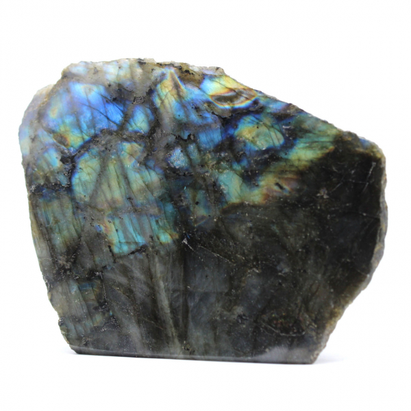 Labradorite semi-crua colecionável