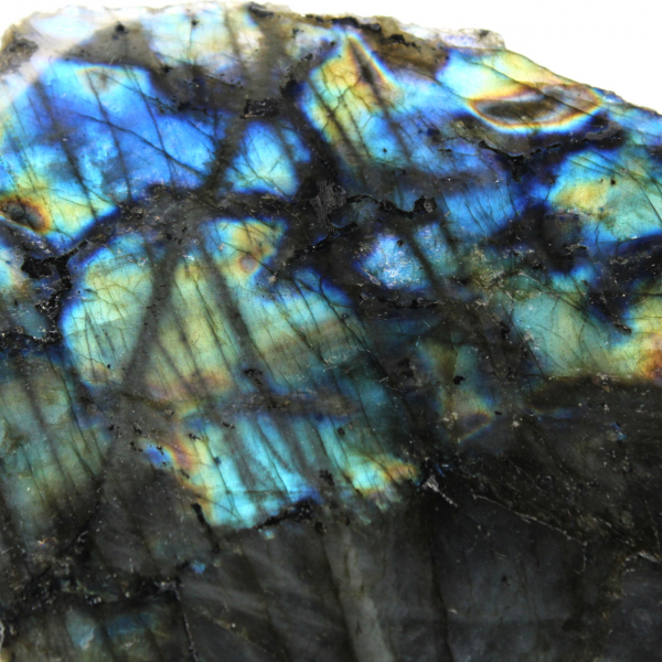 Labradorite semi-crua colecionável